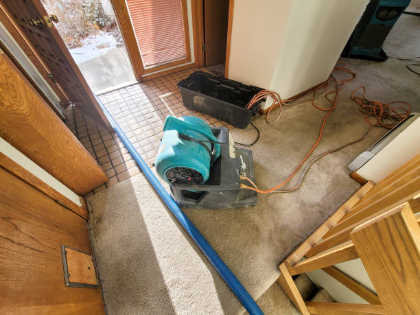 Best Water damage restoration near me  in Toledo, IA