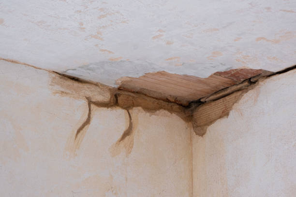 Best Water damage contractors near me  in Toledo, IA
