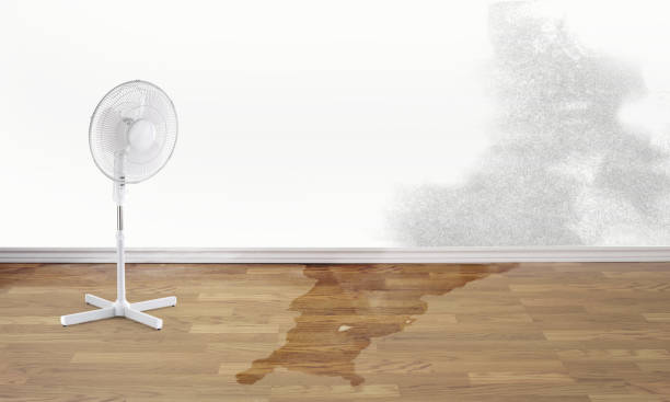 Fire Damage Restoration in Toledo, IA