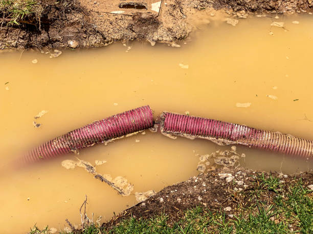 Best Water damage contractors near me  in Toledo, IA
