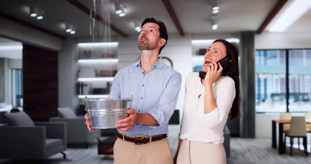 Best Commercial water damage restoration  in Toledo, IA